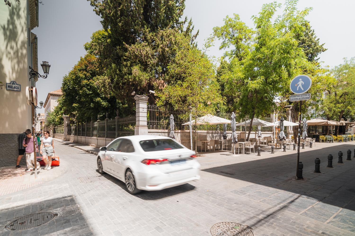 Tuguest Jardin Botanico Apartment Con Parking 格拉纳达 外观 照片